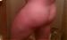 vikingrunner's Profile Picture
