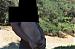 shybi52's Profile Picture