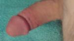 havefun529's Profile Picture