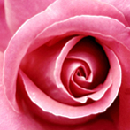 Gypsy_Rose's Profile Picture