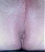 icyz2006's Profile Picture
