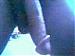 bigenough4u's Profile Picture