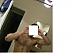 MascBiGuy32's Profile Picture