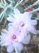 shorty_bob's Profile Picture